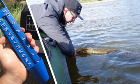 Roofmeister over snoeken met warm weer – 5 tips voor in de zomer