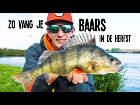 Zo vang je grote herfstbaars