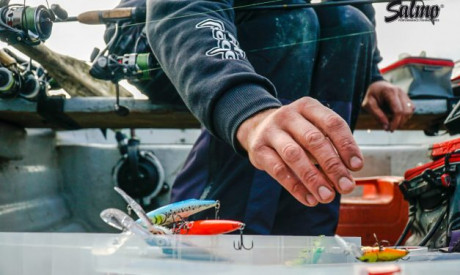Ongekende classics in een nieuw jasje & speciale hengel voor de Salmo Hornet