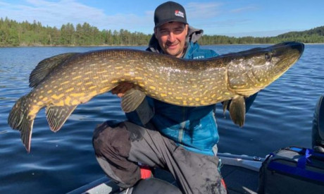 Grootste snoek ooit tijdens Pike Fight – 120 cm op de McHybrid