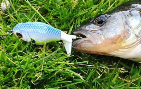 Wie durft er met oppervlakte kunstaas te vissen? De Whopper Plopper 60