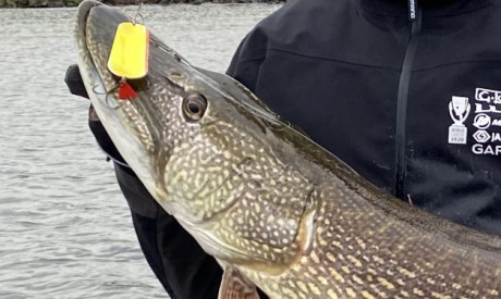 Mega snoek van 134 cm op een lepel – Bertus Rozemeijer op een roze wolk