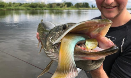 XXL rubber voor XXL roofvis – Quantum Freak of Nature Tench & Zander