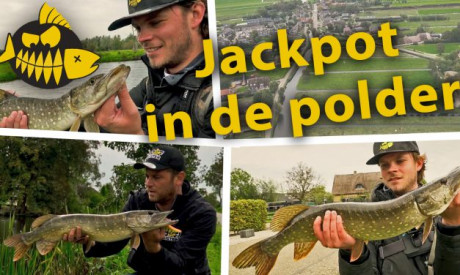 ***Roofmeister VIDEO*** Jackpot in de polder – Snoek op de vierkante meter