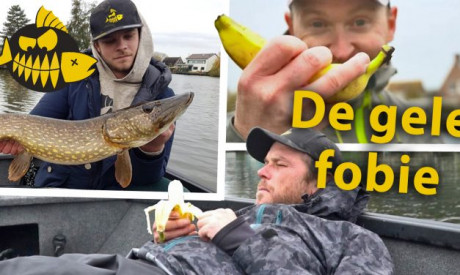 ***Roofmeister VIDEO*** Het bananen effect – Brengen ze echt ongeluk?
