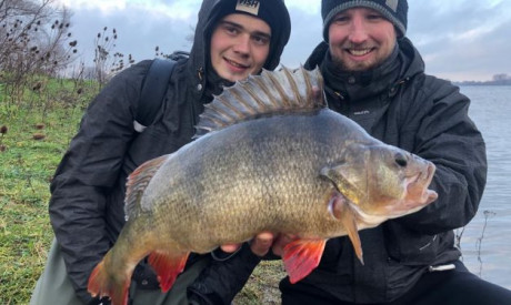 Twee baarzen van 53 cm – Tegen alle regels in