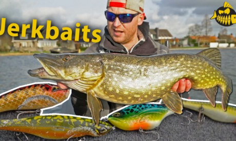 ***Roofmeister VIDEO*** Alles over jerkbaits – Met Thijs op voorjaarssnoek