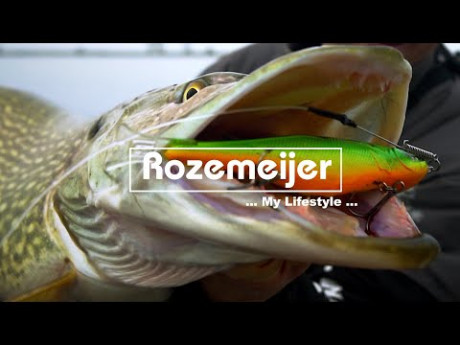 Grote snoeken op Jerkbaits met Thijs van der Sanden