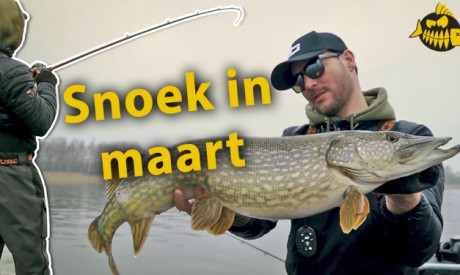 ***Roofmeister VIDEO*** Grote, zware snoek op het ondiepe met Sean Wit – Het slotoffensief