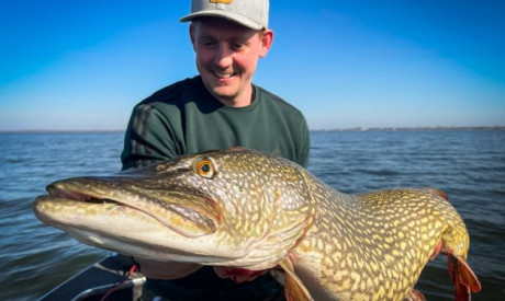 Hèt wapen van Ronald Bonestroo voor big ass snoek!