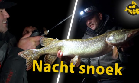 ***Roofmeister VIDEO*** Pelagisch achter de monstersnoeken aan – Sharpshooting met The Eagle