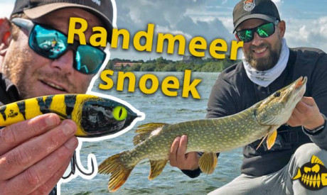 ***Roofmeister VIDEO*** WIN deze EXCLUSIEVE RM jerkbait – Werpen op de Randmeren