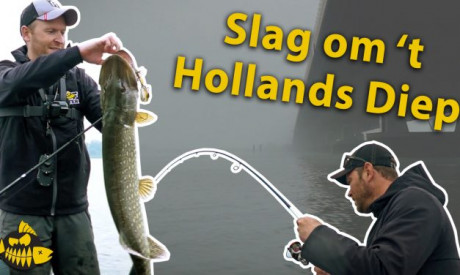 ***Roofmeister VIDEO*** Riskeren wij hier een MEGA BOETE – Werpen op snoek