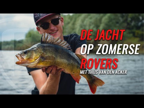 Dé aanpak voor in de zomer – Veel en groot!