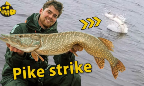 ***VIDEO*** Super leipe AANBEET LIVE in beeld – Werpen met groot kunstaas op snoek
