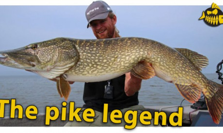 ***VIDEO*** Hoe vangt Volkmar Strikkers zoveel grote snoek? Een legend over Esox lucius