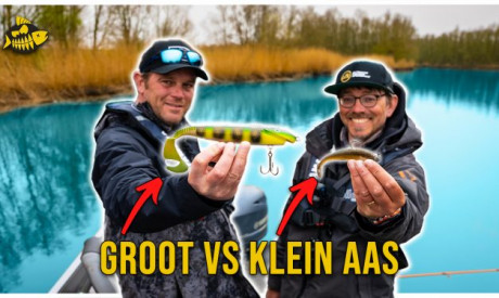 ***VIDEO*** Wij vinden DROOMSTEKKEN – Zoveel snoek hebben we nog NOOIT gezien!