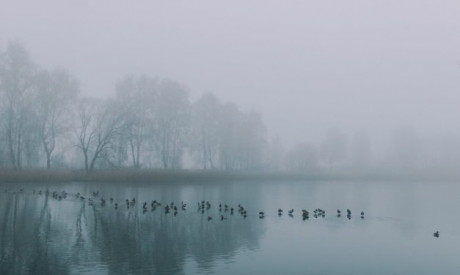 Winterrust periode voor de Biesbosch