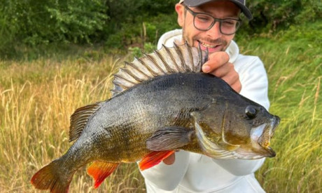 Roofmeister INSIDE: 98 cm snoekbaars, 50’er baarzen & het beste weer voor snoek!