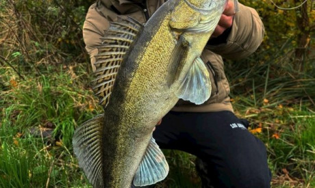 Hoe bepaal je met werpen op snoekbaars de juiste balans in je loodkop?