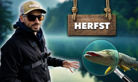 ***VIDEO*** ALLES over ROOFVIS VANGEN in de HERFST!