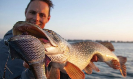 XXL kunstaas voor XXL snoek!
