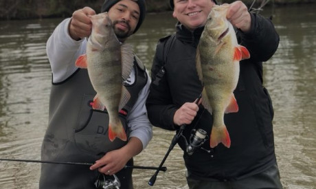 Dit kunstaas gaat jou deze winter baars opleveren!