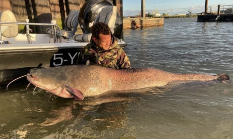 Meerval in de winter – Zo gedragen ze zich en vang jij ze! Tips van de experts