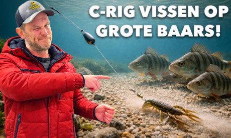 ***VIDEO*** WIJ ZOEKEN DE BESTE BAARS STEKKEN! EN ZO DOE JIJ HET!