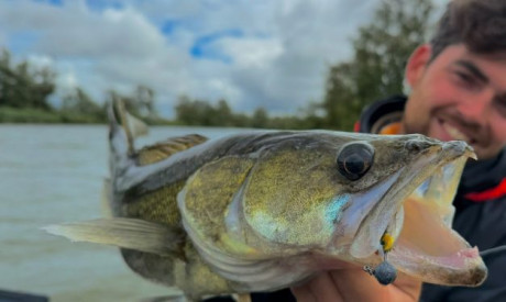 Hoe bepaal je of een loodkop geschikt is voor je shad?