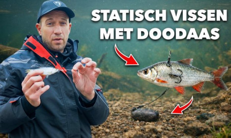 ***VIDEO*** DIT IS DE MAKKELIJKSTE MANIER OM METERSNOEKEN TE VANGEN!