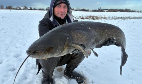 Wanneer op meerval? Nu! Juist nu!