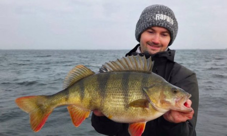 Dit heb je nodig in je jacht op GROTE BAARS!