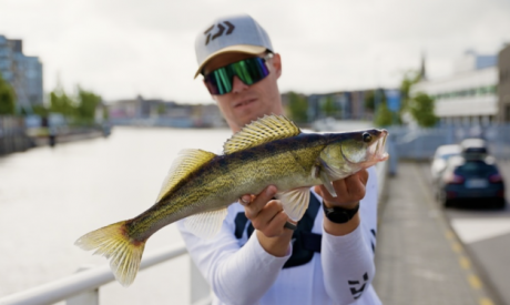 Dit is de perfecte set voor roofvis als je net begint!