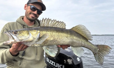 Wanneer kies je een kortstaart en wanneer een langstaart?