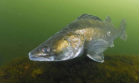 Dit zijn vijf veel gestelde vragen over de gesloten tijd!