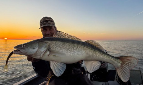 Kunstaas tot in perfectie – Maak kennis met de eerste drie softbaits van Kuore