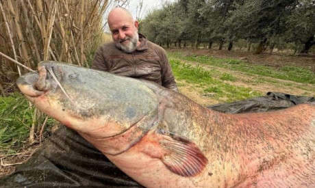 Roofmeister INSIDE: Zo vis je met de Ned rig & GIGA meervallen!
