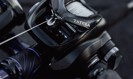 Met deze reels laat Daiwa zien hoe ver baitcasters zijn doorontwikkeld!