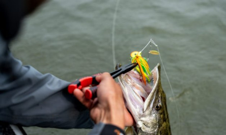Spinnerbaits – Dé troef na de seizoensstart!