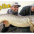 Aanbeet & vangst van 128 cm snoek live op video – Groot water, XXL Esox