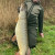 ***BREAKING*** Snoek van 140 cm PLUS in Nederland!!!