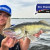 VOLG ALLES LIVE – De Yamaha Pro Fishing Cup van minuut tot minuut