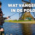 ***VIDEO*** Veel AANBETEN en GROTE SNOEKEN in deze HOLLANDSE POLDER!